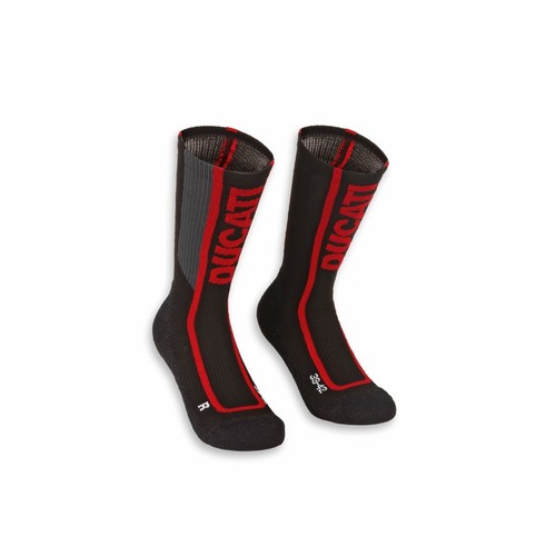 New ducati cool down 3 - ,