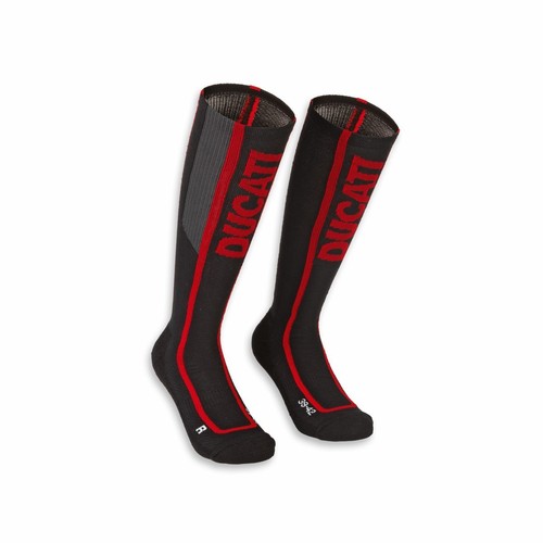 New ducati warm up - warm,